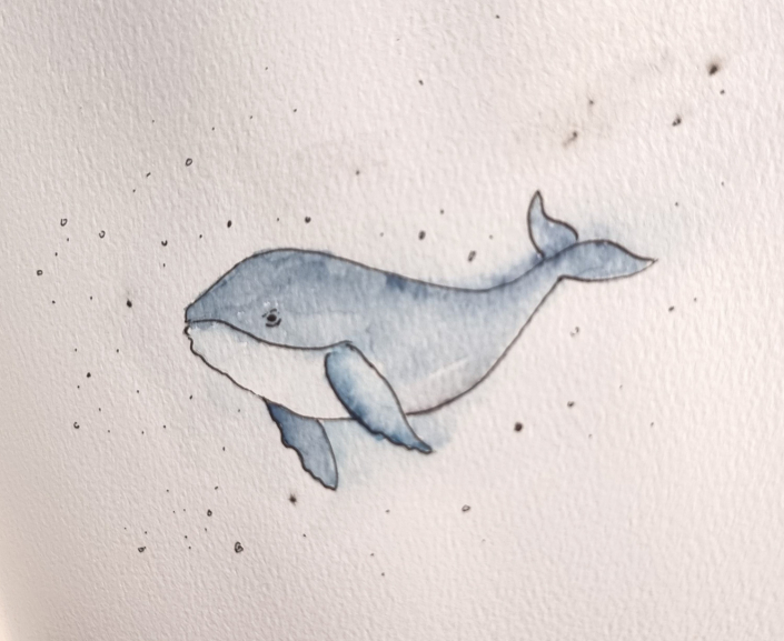 Eine Skizze von einem Wal mit Aquarell