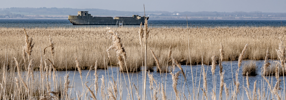 An der Ostseeküste im März 2024