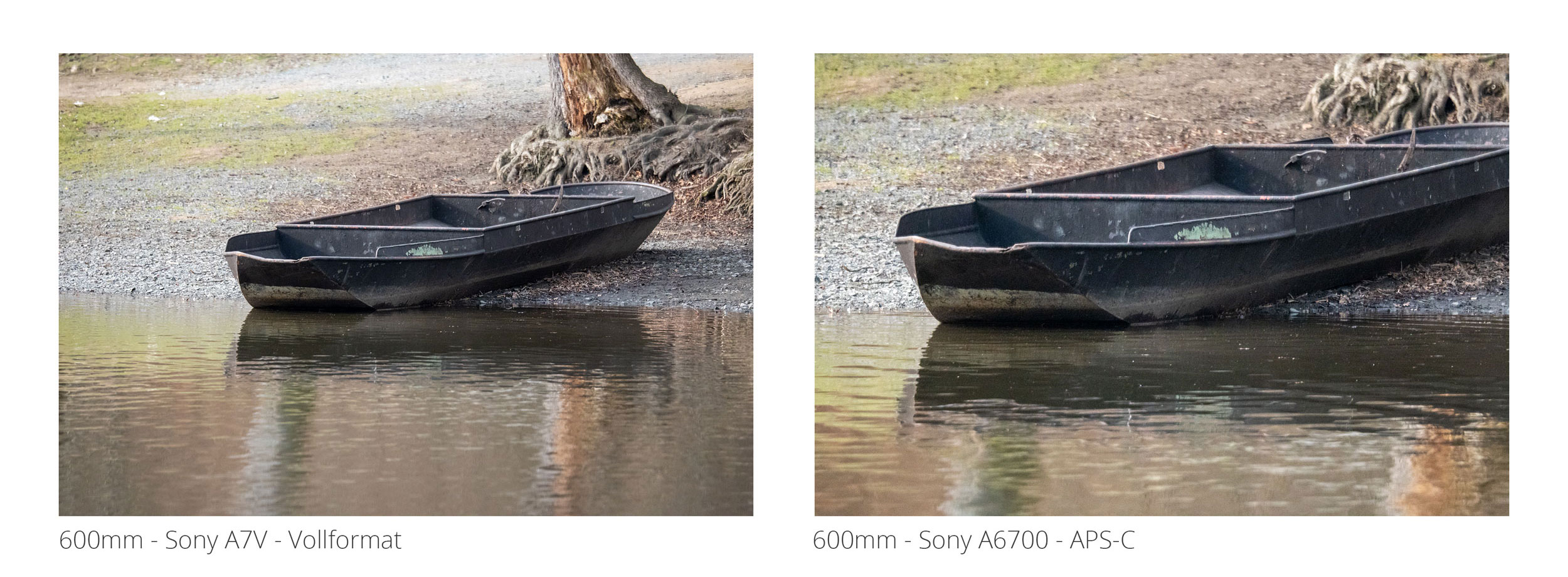 vollformat-vs-apsc-600brennweite